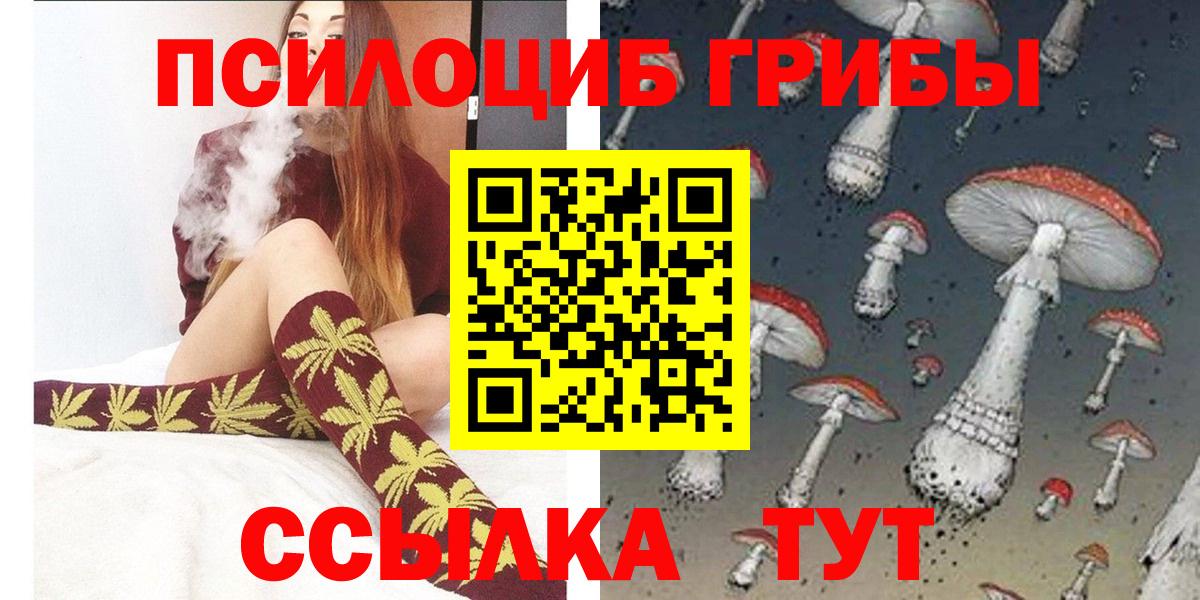 ГАШ Сунжа