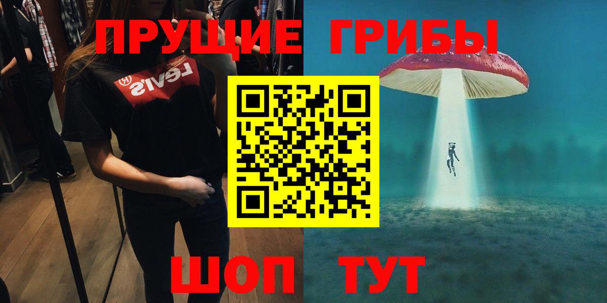 Галлюциногенные грибы прущие грибы  Галлюциногенные грибы GOLDEN TEACHER  Вход с VPN  Сунжа 